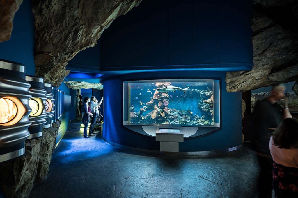 Aquarium - Haus der Natur